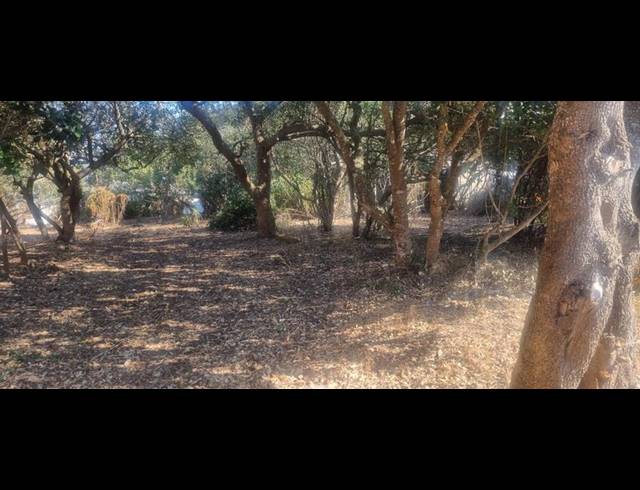 LAND FOR SALE IN GROOT BRAKRIVIER CENTRAL